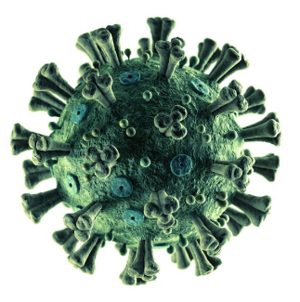 coronavirus imagen