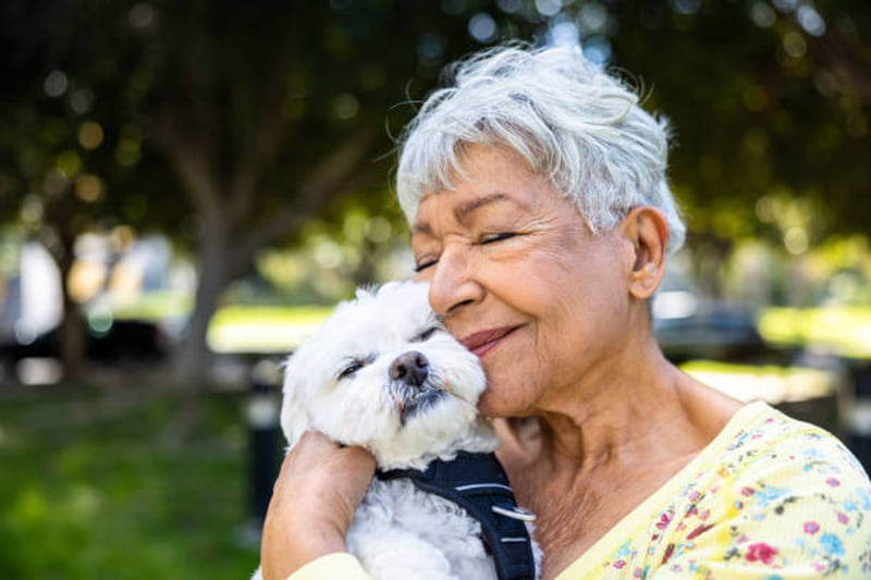 No tengo dinero para incinerar a mi perro